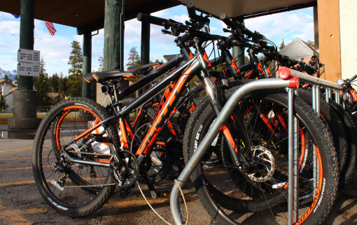 Amenities Bike Rentals