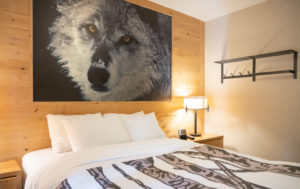 Two Bedroom Wolf Condo