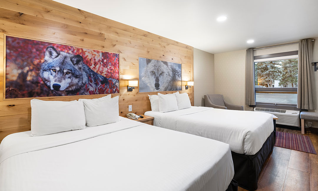 Junior-suite Hotel room with two queen beds