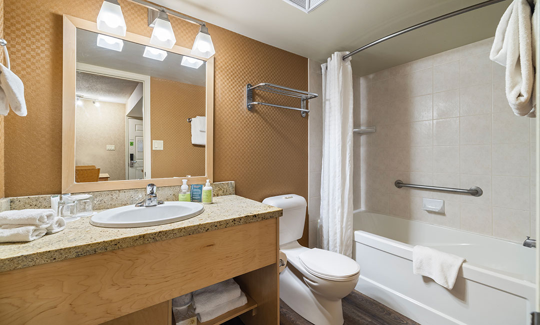 1 Bedroom Condo - Bathroom