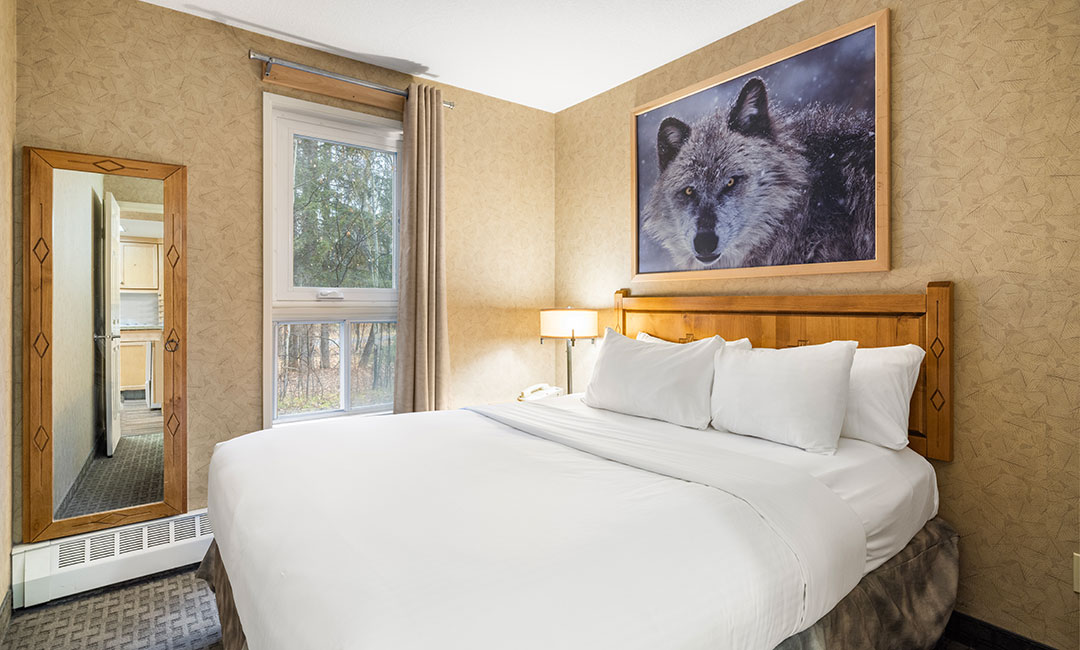1 Bedroom Condo - Bedroom