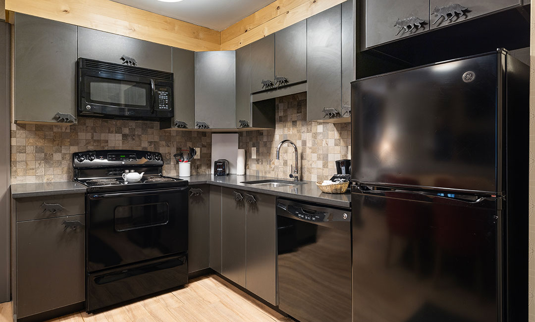 Wolf Studio Condo - Full Kitchen