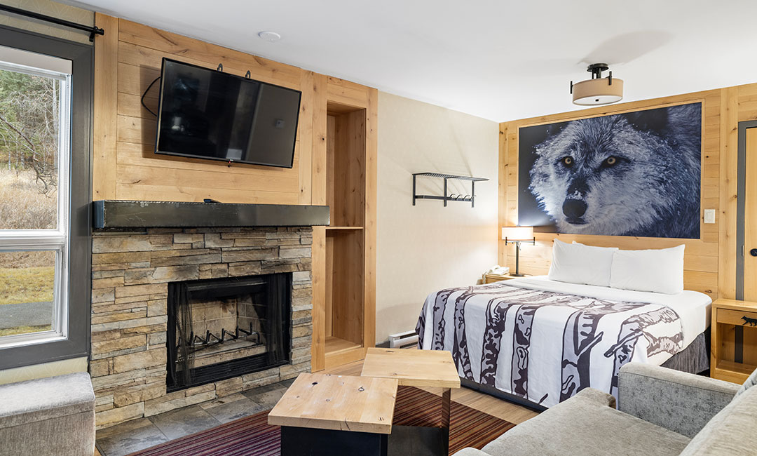 Wolf Studio Condo - Living Area
